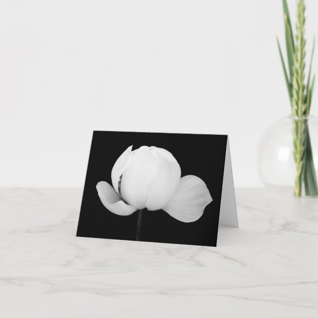 Lotus Bud  Thank You Card (Front)