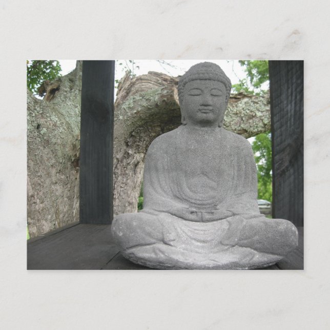 Lotus Buddha Postcard (Front)