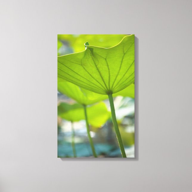 Lotus Canvas Print (Front)