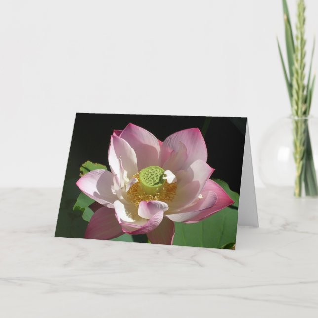 Lotus Card (Front)
