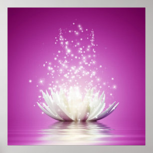 healing lotus
