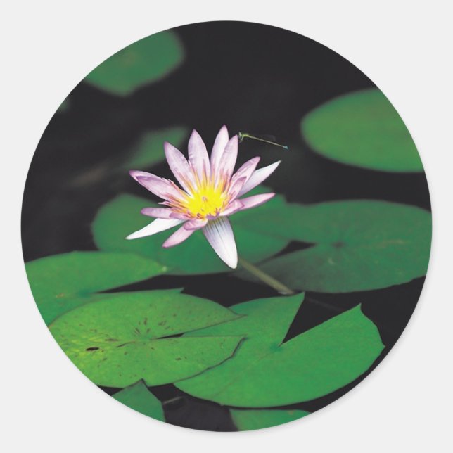 Lotus Classic Round Sticker (Front)