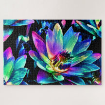 Lotus Dream