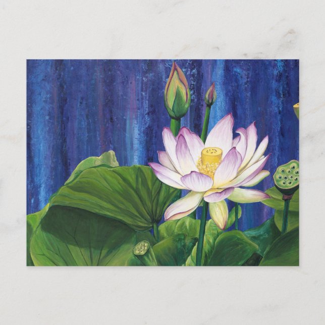 Lotus Dream Postcard (Front)