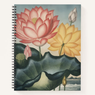 LOTUS FINE ART NOTEBOOK