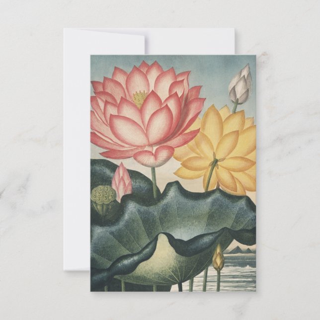 Lotus Fine Art Thank You Card (Front)
