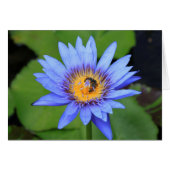 Lotus flower (Front Horizontal)