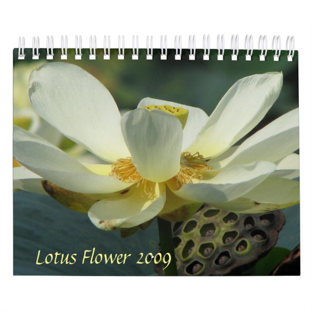 Lotus Flower 2009 Calendar (Cover)