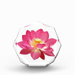 Lotus Flower Acrylic Octagon Award at Zazzle