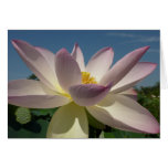 Lotus Flower and Blue Sky I