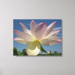 Lotus Flower and Blue Sky I Canvas Print