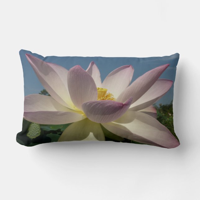 Lotus Flower and Blue Sky I Lumbar Pillow (Front)
