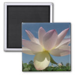 Lotus Flower and Blue Sky I Magnet