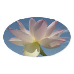 Lotus Flower and Blue Sky I Oval Sticker