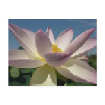 Lotus Flower and Blue Sky I Postcard