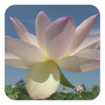 Lotus Flower and Blue Sky I Square Sticker