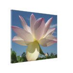 Lotus Flower and Blue Sky II Canvas Print