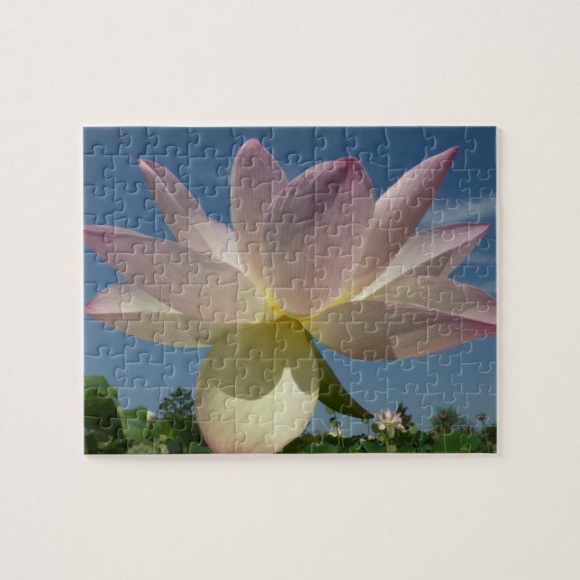 Lotus Flower and Blue Sky II Jigsaw Puzzle (Horizontal)