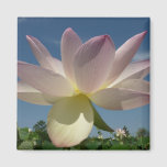 Lotus Flower and Blue Sky II Magnet