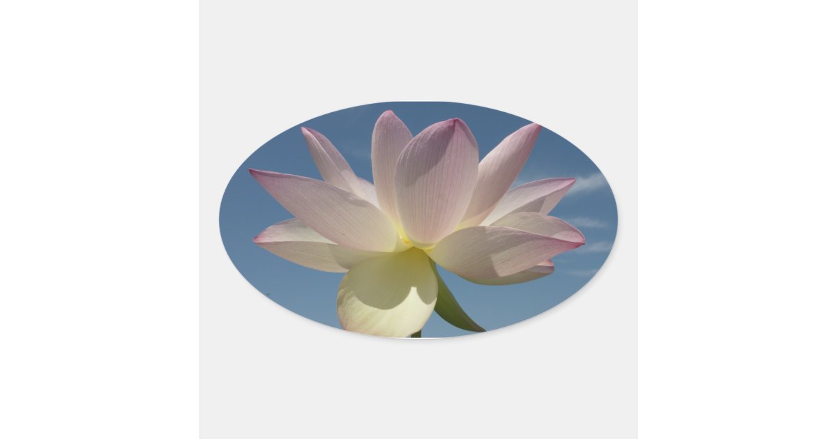 Lotus Flower and Blue Sky II Oval Sticker | Zazzle