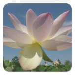 Lotus Flower and Blue Sky II Square Sticker