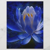 Lotus flower and its meaning (Front)