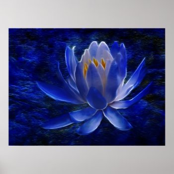 Lotus Flower And Its Meaning Poster by laureenr at Zazzle