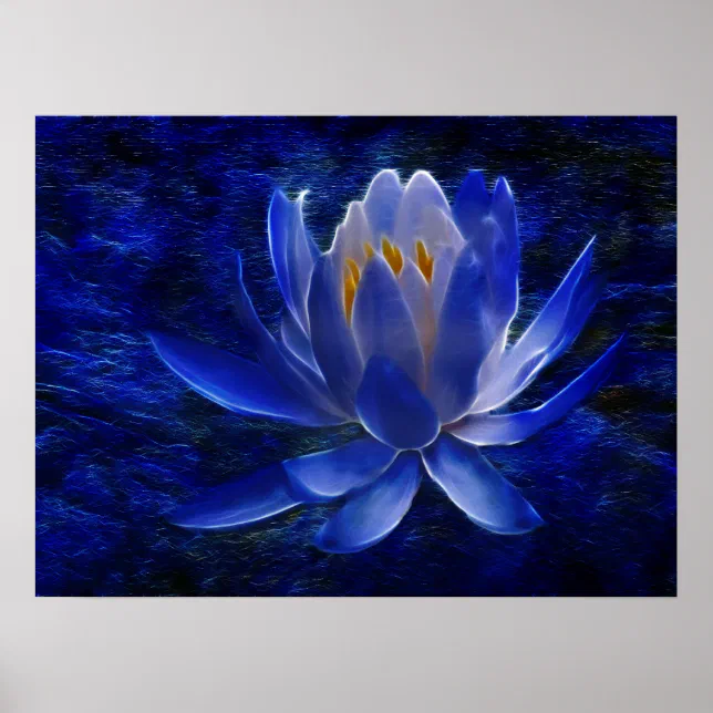 Lotus flower and its meaning poster | Zazzle