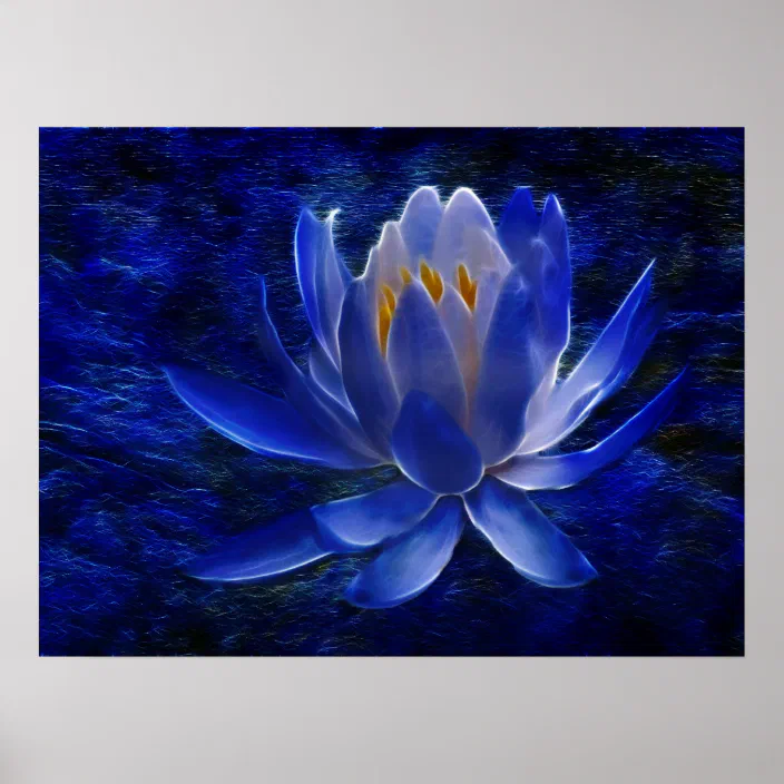 Lotus Flower And Its Meaning Poster Zazzle Com