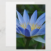 Lotus flower and meaning (Front/Back)