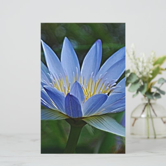 Lotus flower and meaning (Standing Front)