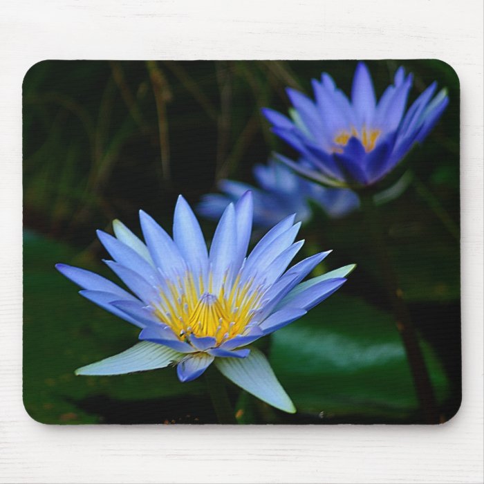 Lotus flower and meaning mouse pad