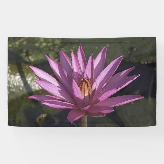Lotus Flower Banner (Horizontal)