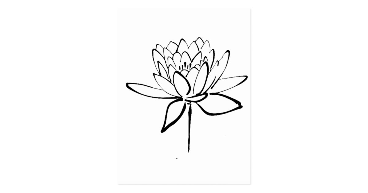 Lotus Flower Black and White Ink Drawing Art Postcard | Zazzle.com