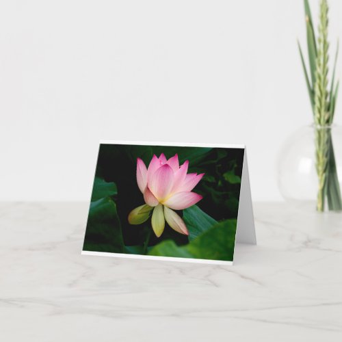 Lotus Flower - Blank Folded Card