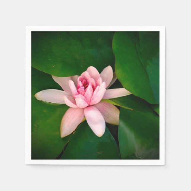 Lotus Flower Blossom  Photo Green foliage Napkins (Front)