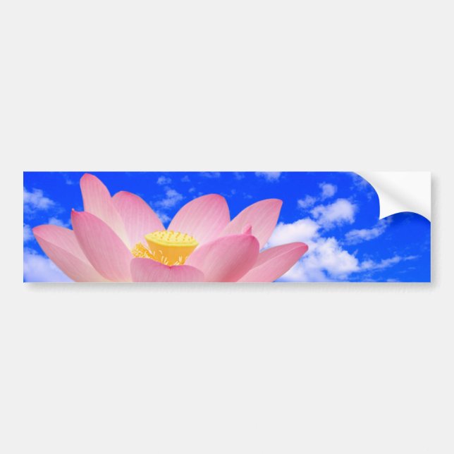 Lotus Flower Born in Water Bumper Sticker (Front)