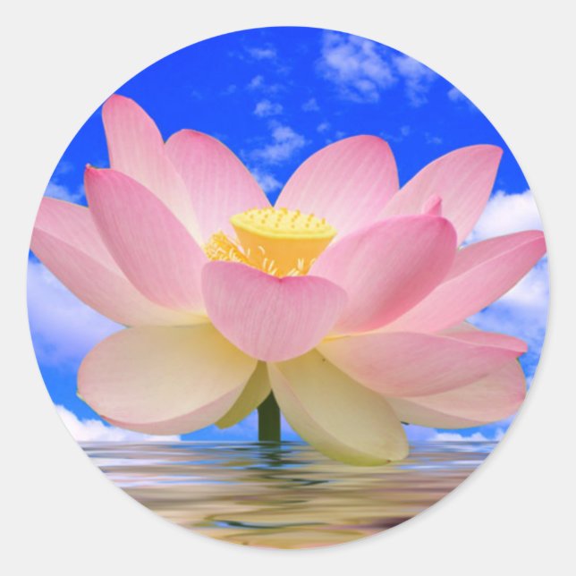 Lotus Flower Born in Water Classic Round Sticker (Front)