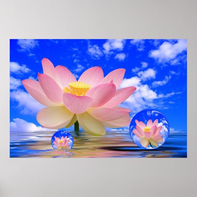 Lotus Flower Born in Water Poster (Front)