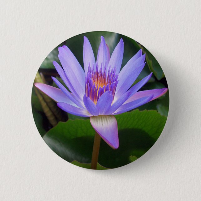 Lotus Flower Button (Front)