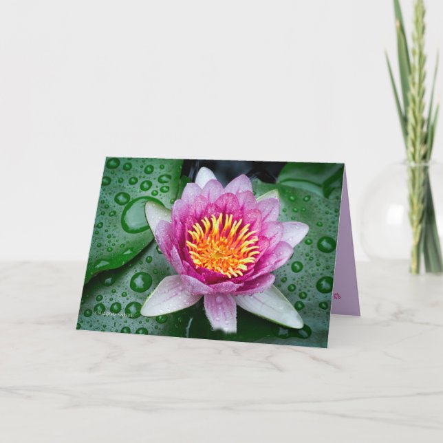 Lotus Flower Card (Front)
