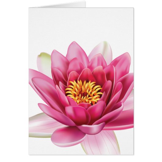 Lotus Flower Cards (Front)