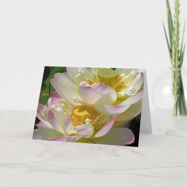 Lotus Flower Duet Card (Front)