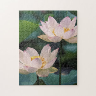 Lotus flower in blossom, China Jigsaw Puzzle