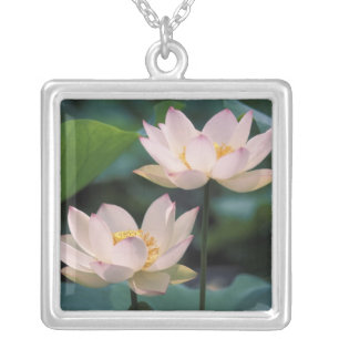 Lotus flower in blossom, China Silver Plated Necklace