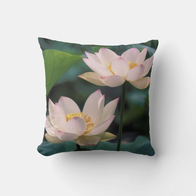 Lotus flower in blossom, China Throw Pillow (Front)