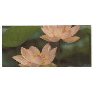 Lotus flower in blossom, China Wood Flash Drive