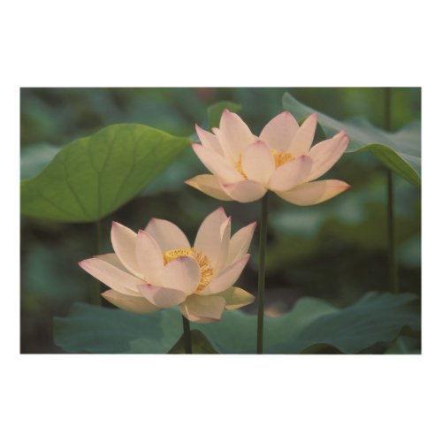 Lotus flower in blossom China Wood Wall Decor