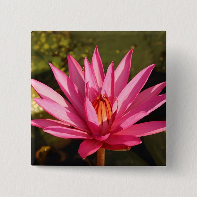 Lotus Flower in the Nature Button (Front)