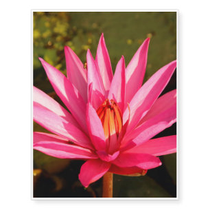 Lotus Flower in the Nature Temporary Tattoos